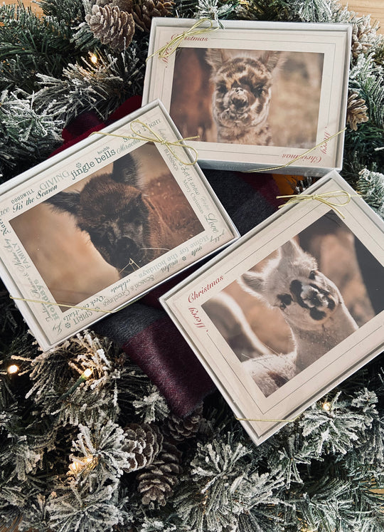 Christmas Cards