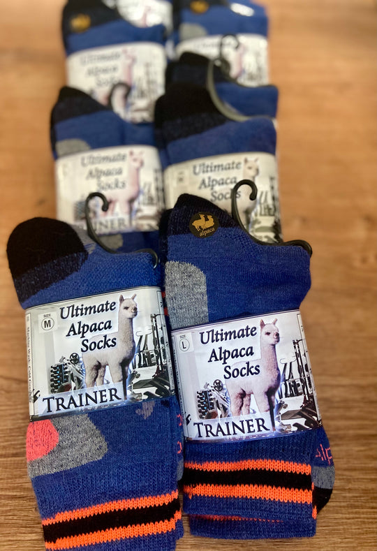 Alpaca Trainer Sock