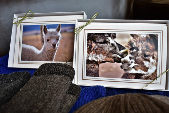 Greeting Cards